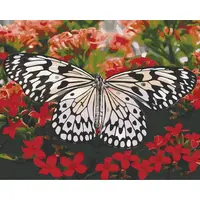 Картина за номерами. Art Craft "Красуня в квітах" 40х50 см 13119-AC