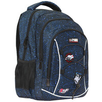 РЮКЗАК ШКОЛЬНЫЙ ОРТОПЕДИЧЕСКИЙ SAFARI 24-270M-3