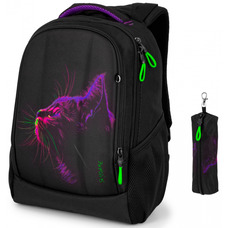 Рюкзак Winner /SkyName 57-71 молодежный подростковый Неоновый кот