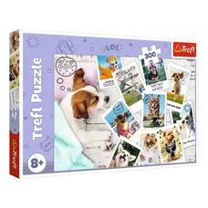Пазлы 300 деталей Летние картинки собак TREFL  23003