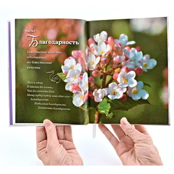 Книга Шри Чинмой Благодарность