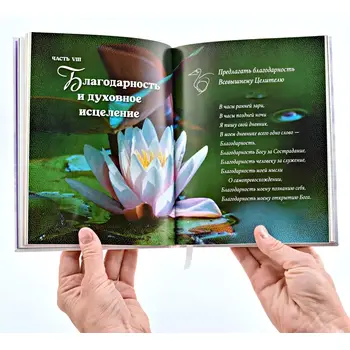 Книга Шри Чинмой Благодарность