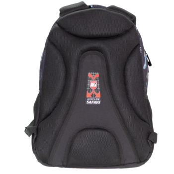 Рюкзак школьный SAFARI 25-183M-2